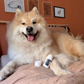 SOIN BAUME COUSSINETS ET TRUFFE pour chien ZONES SPECIFIQUES HERY-DOGFRENCHTOUCH