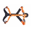 HARNAIS pour chien CANICROSS BASIC couleur orange MARTIN SELLIER-DOGFRENCHTOUCH