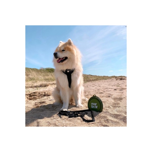 HARNAIS pour chien CANICROSS BASIC couleur noir MARTIN SELLIER-DOGFRENCHTOUCH