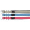 Collier confort pour chien bleu FUN ERGO PVC FREEDOG