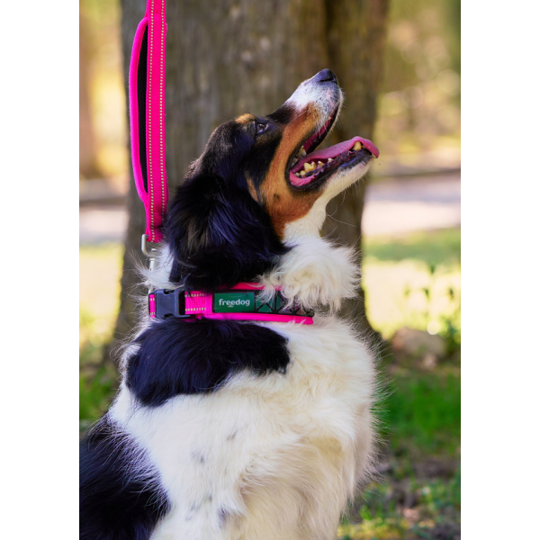 COLLIER REFLECHISSANT pour chien BORÉAL couleur rose FREEDOG-DOGFRENCHTOUCH