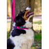 COLLIER REFLECHISSANT pour chien BORÉAL couleur rose FREEDOG-DOGFRENCHTOUCH