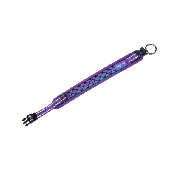 COLLIER REFLECHISSANT pour chien BORÉAL couleur violet FREEDOG-DOGFRENCHTOUCH