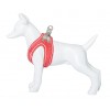 Harnais pour chien couleur rouge SHIVA FREEDOG