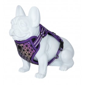 HARNAIS REFLECHISSANT pour chien BORÉAL couleur violet FREEDOG-DOGFRENCHTOUCH