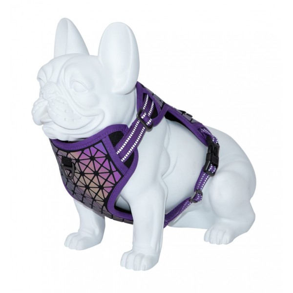 HARNAIS REFLECHISSANT pour chien BORÉAL couleur violet FREEDOG-DOGFRENCHTOUCH