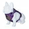 HARNAIS REFLECHISSANT pour chien BORÉAL couleur violet FREEDOG-DOGFRENCHTOUCH