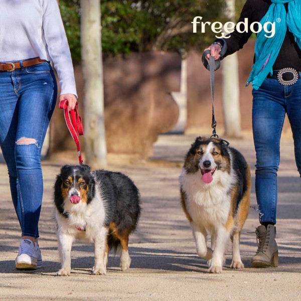 LAISSE ERGONOMIQUE pour chien nylon couleur bleu FREEDOG-DOGFRENCHTOUCH