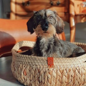 CORBEILLES pour chien et chat LOT DE 2 LOTUS Collection Rêverie à Hanoï MARTIN SELLIER-DOGFRENCHTOUCH