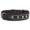 COLLIER EN CUIR pour chien BICKER noir VIVOG-DOGFRENCHTOUCH