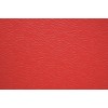 TAPIS ANTIDERAPANT DE TOILETTAGE couleur ROUGE VIVOG-DOGFRENCHTOUCH