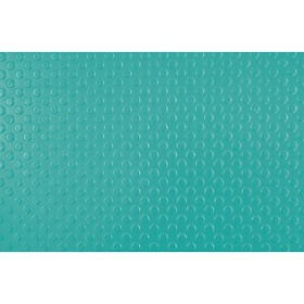 TAPIS ANTIDERAPANT de toilettage couleur vert VIVOG