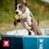 Piscine pour chien couleur Bleu MARTIN POOL MARTIN SELLIER