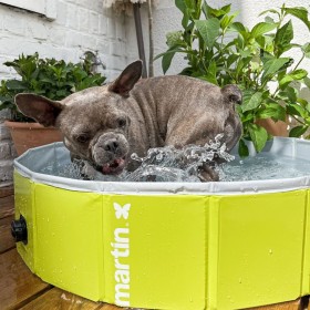 PISCINE pour chien MARTIN POOL couleur vert  MARTIN SELLIER