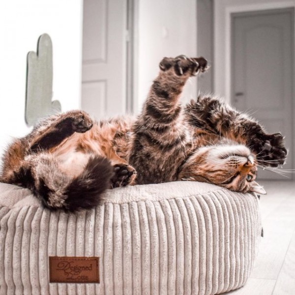 COUSSIN DEHOUSSABLE pour chien ou chat VELOURS CÔTELE rose DESIGNED BY LOTTE-DOGFRENCHTOUCH