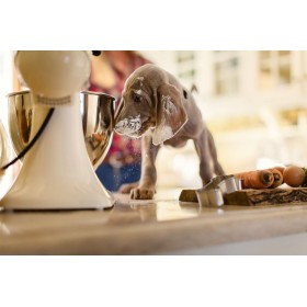 PREPARATION GATEAU en bouteille aux CREVETTES COOKA'S COOKIES-DOGFRENCHTOUCH