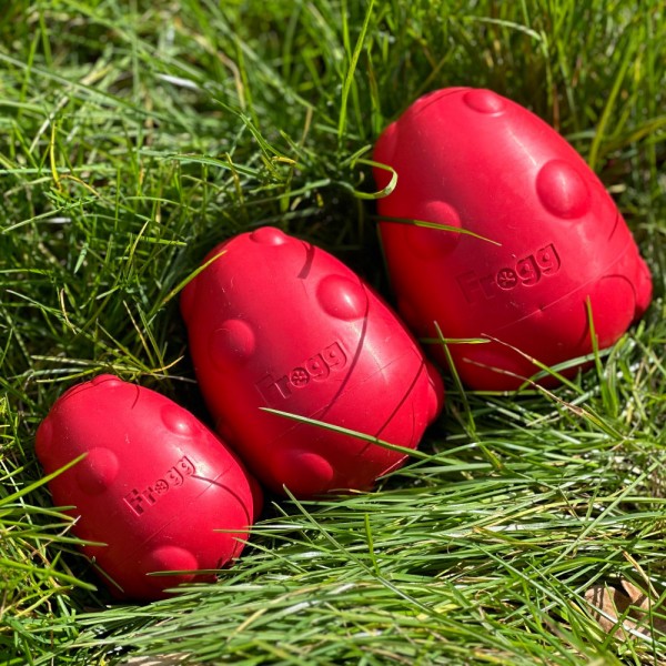 JOUET ET DISTRIBUTEUR DE FRIANDISES pour chien FORME OEUF résistant 8 cm FROGG-DOGFRENCHTOUCH