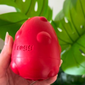 JOUET ET DISTRIBUTEUR DE FRIANDISES pour chien FORME OEUF résistant 8 cm FROGG-DOGFRENCHTOUCH