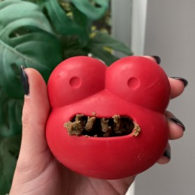 JOUET ET DISTRIBUTEUR DE FRIANDISES pour chien GRENOUILLE résistante FROGG-DOGFRENCHTOUCH