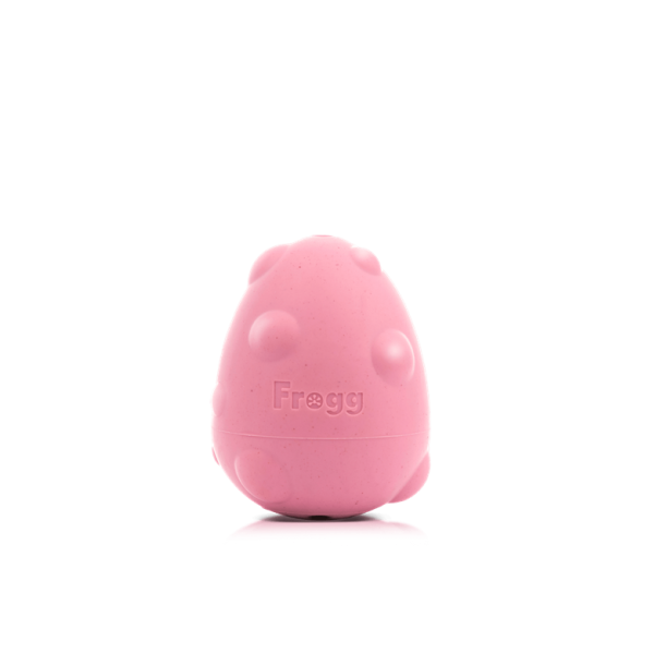 JOUET ET DISTRIBUTEUR DE FRIANDISES pour chien FORME OEUF résistant 6 cm FROGG-DOGFRENCHTOUCH