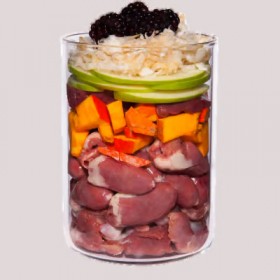 LOT DE 6 Patée pour chien GRAIN FREE au POULET 400g TERRA CANIS