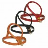 HARNAIS pour chien cuir de veau souple couleur noir CAMON