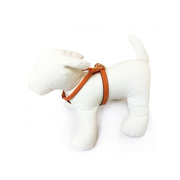 HARNAIS pour chien cuir de veau souple couleur saumon CAMON