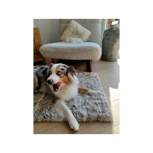 MATELAS POILU DEHOUSSABLE pour chien et chat couleur beige BOBBY-DOGRENCHTOUCH