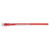 COLLIER EN CUIR pour chien couleur rouge avec strass CAMON