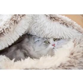 copy of Hamac pour chat GAÏA DESIGNED BY LOTTE