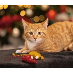 JOUET pour chat LOT DE 2 JOUETS SOURIS DE NOËL BEEZTEES-DOGFRENCHTOUCH
