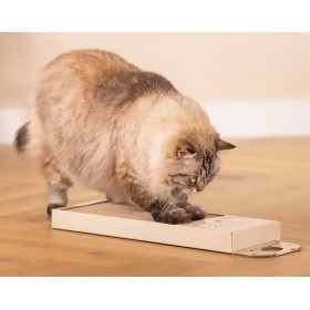 GRIFFOIR pour chat HERISSON blanc BEEZTEES - DOGFRENCHTOUCH