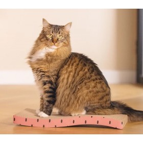 GRIFFOIR pour chat BOARD à pois rose BEEZTEES - DOGFRENCHTOUCH