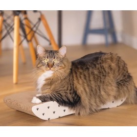 GRIFFOIR BOITE A JEU pour chat couleur beige BEEZTEES-DOGFRENCHTOUCH