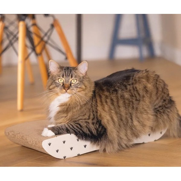 GRIFFOIR BOITE A JEU pour chat couleur beige BEEZTEES