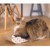 GRIFFOIR BOITE A JEU pour chat couleur beige BEEZTEES