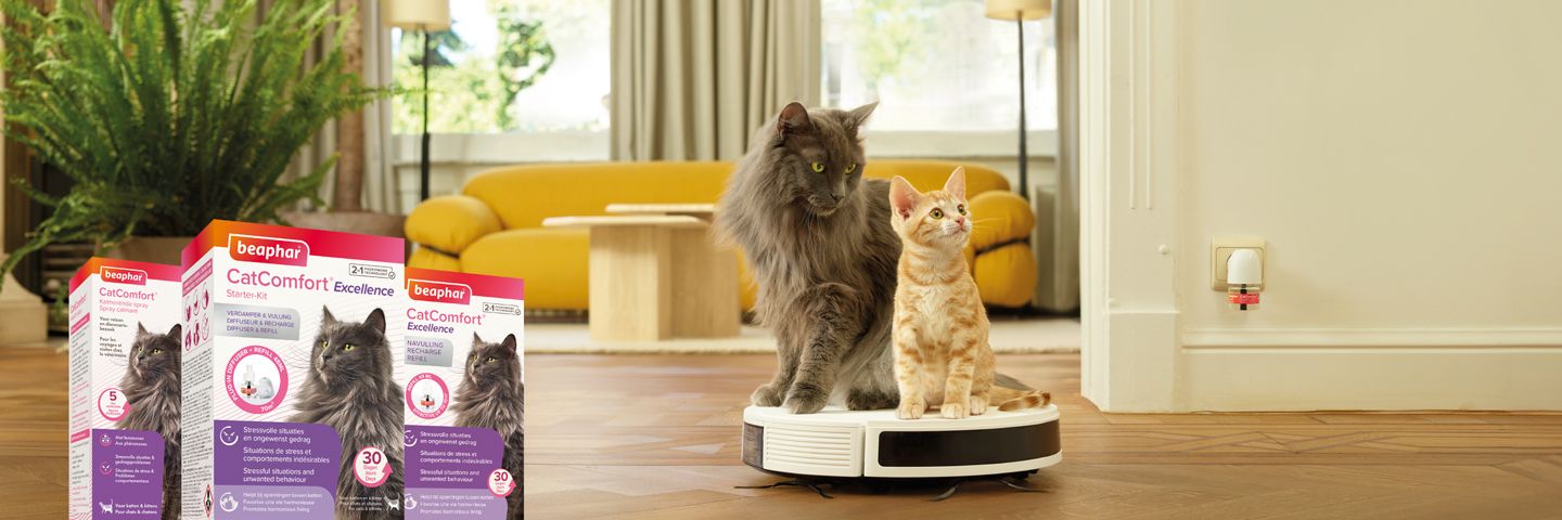 Comment utiliser le diffuseur aux phéromones CatComfort de